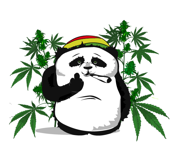 Paralytic Panda - The best grow lights, cannabis seeds and accessories in South Africa